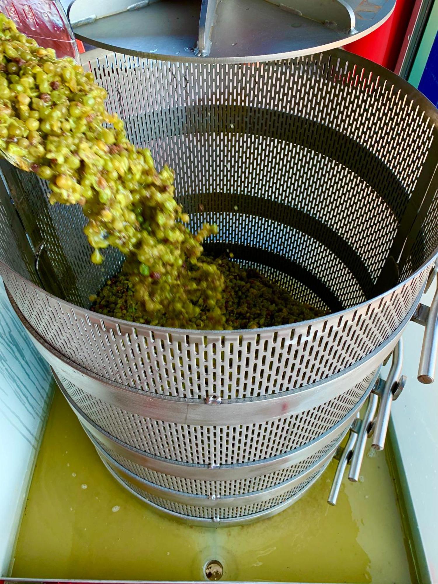 Bed and Breakfast Domaine Chardonnay Temecula Esterno foto