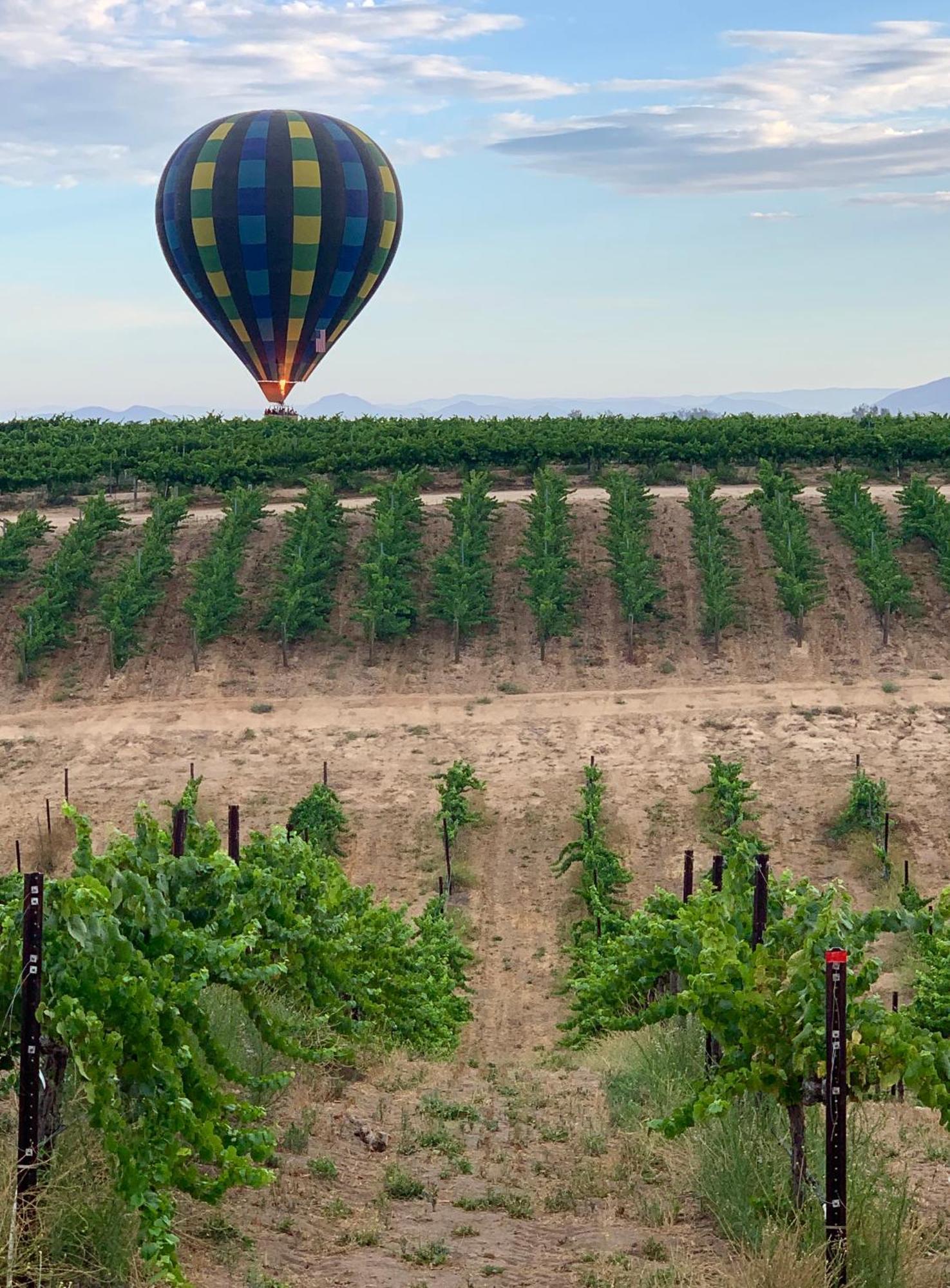 Bed and Breakfast Domaine Chardonnay Temecula Esterno foto