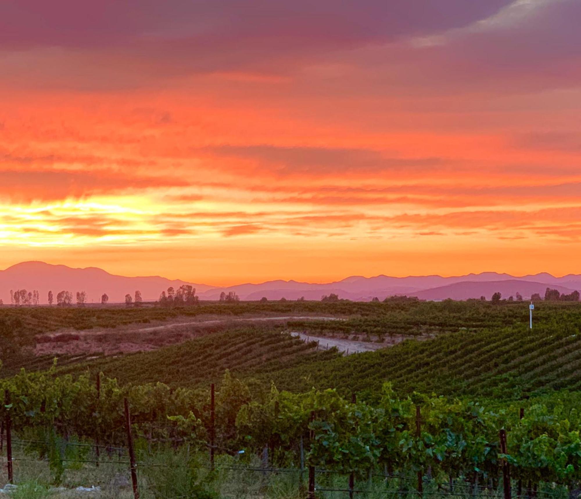 Bed and Breakfast Domaine Chardonnay Temecula Esterno foto