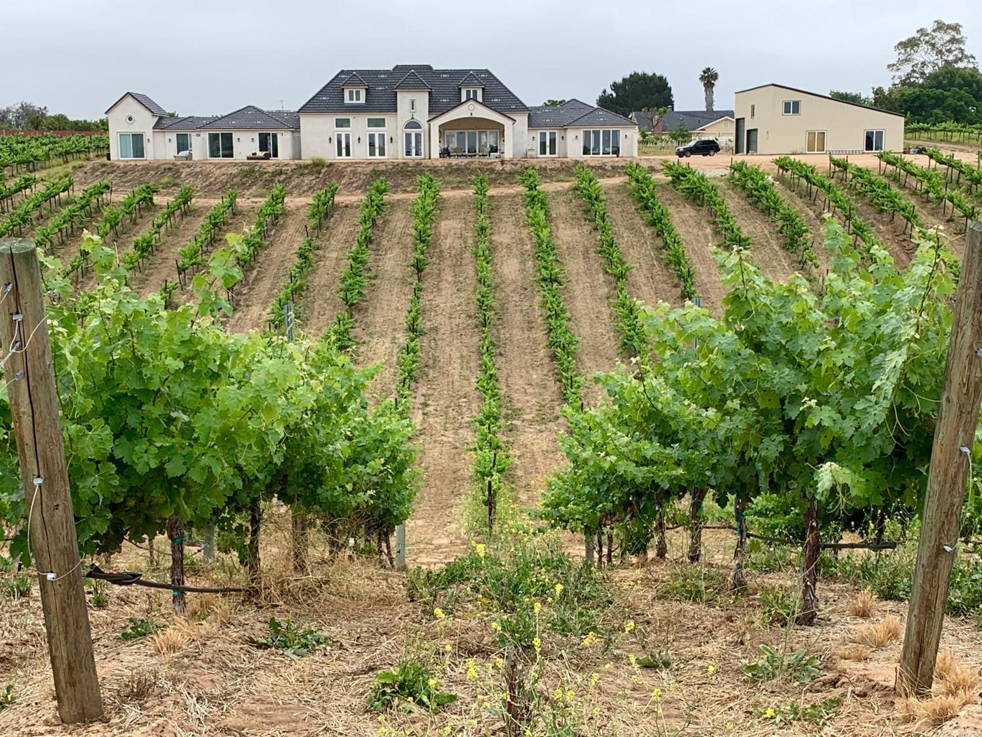 Bed and Breakfast Domaine Chardonnay Temecula Esterno foto