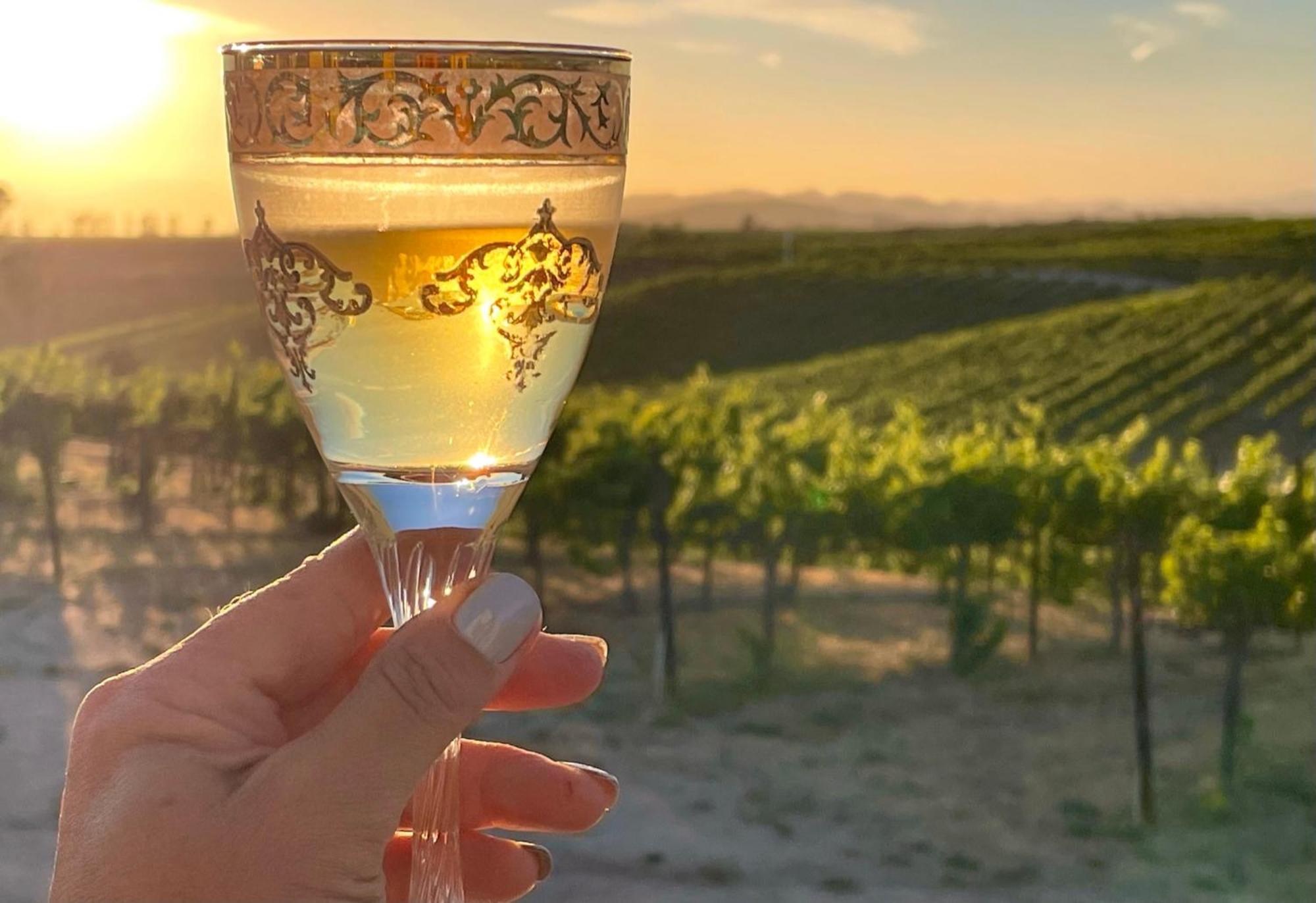 Bed and Breakfast Domaine Chardonnay Temecula Esterno foto