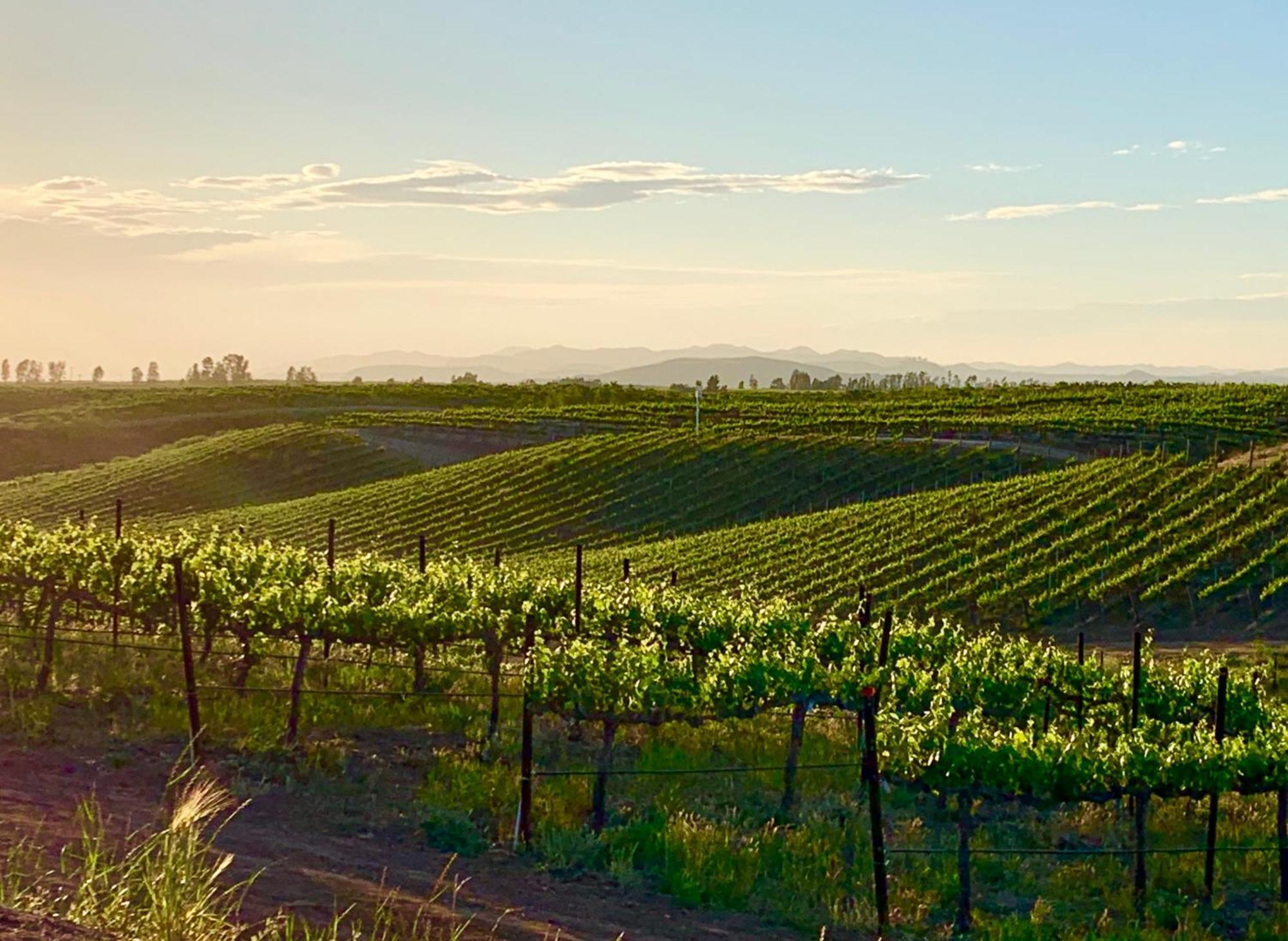 Bed and Breakfast Domaine Chardonnay Temecula Esterno foto